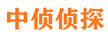 连云市调查公司